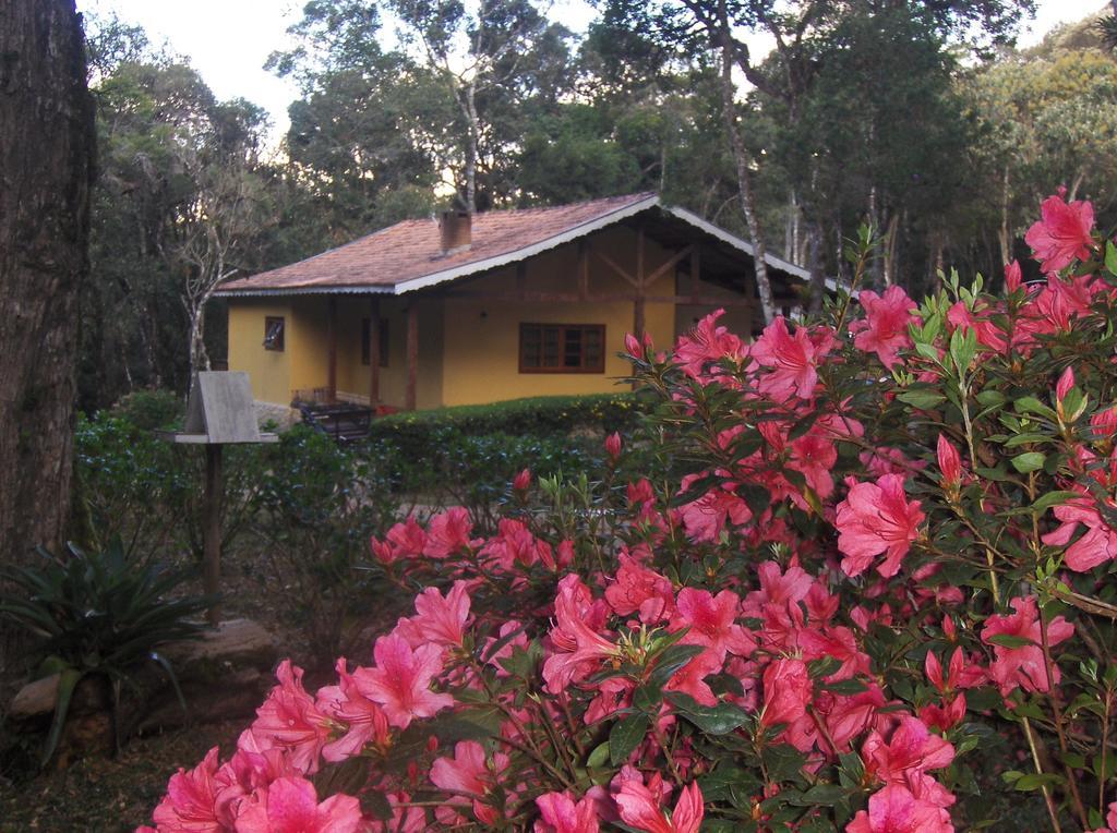 Pousada Wicca Vale São Bento do Sapucaí Exteriér fotografie