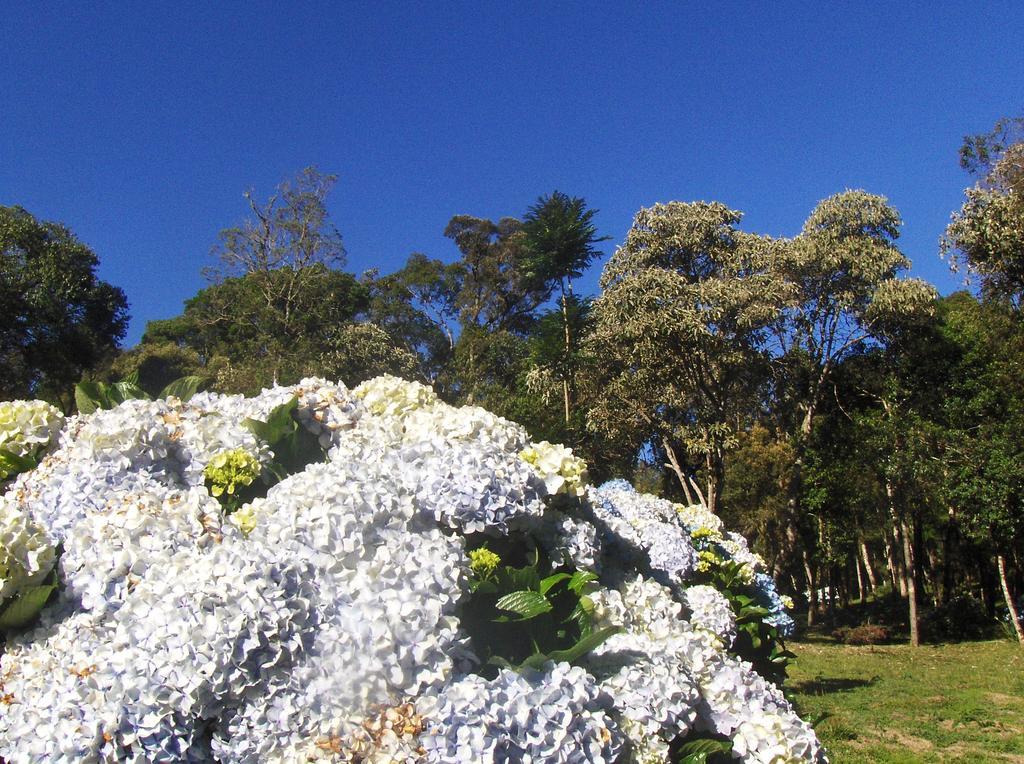Pousada Wicca Vale São Bento do Sapucaí Exteriér fotografie