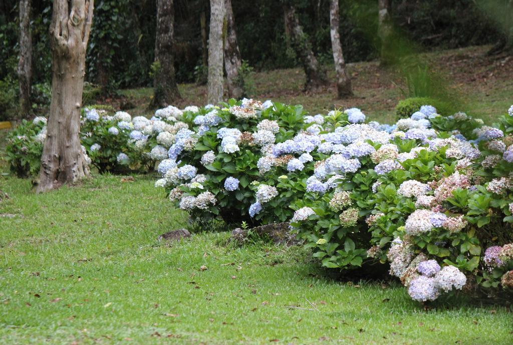 Pousada Wicca Vale São Bento do Sapucaí Exteriér fotografie